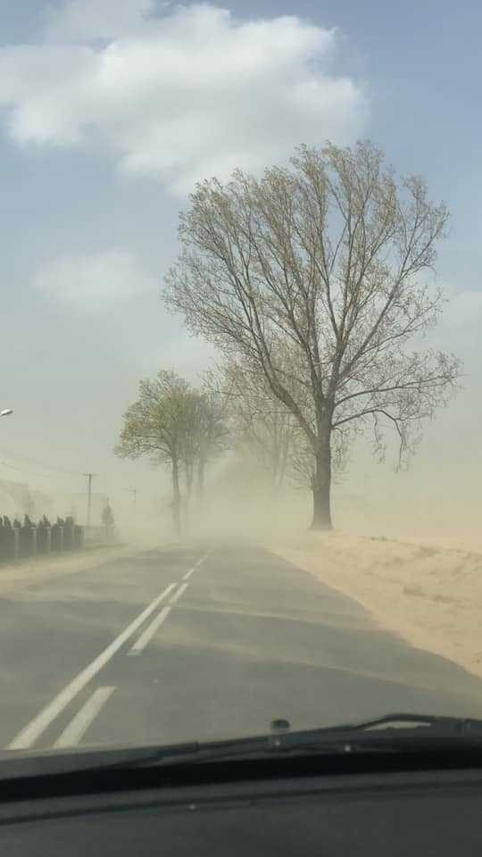 Sabbia sahara polonia