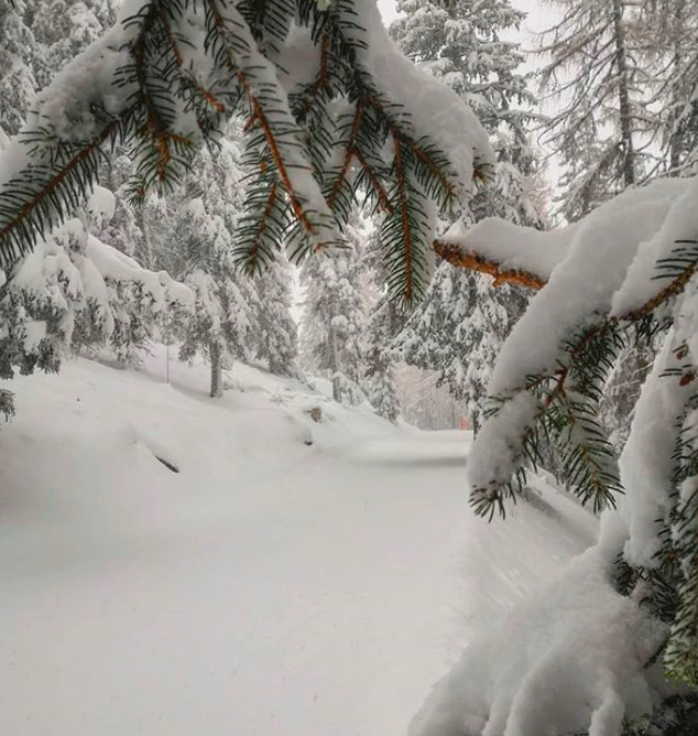 neve domenica delle palme