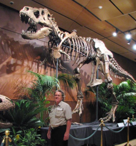 Trex ebay