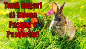 auguri buona pasqua immagini gif