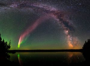 aurora steve
