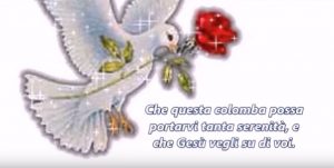 buone palme auguri domenica delle palme video