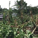 Meteo, per la prima volta due cicloni nella stessa stagione in Mozambico: Kenneth provoca blackout, case distrutte e alberi abbattuti [FOTO e VIDEO]