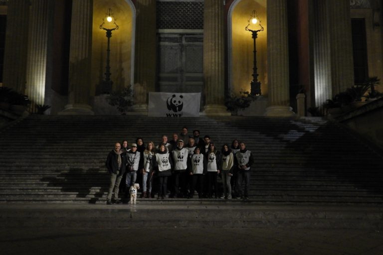 earth hour palermo