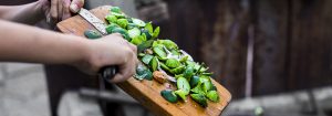 falsi miti del mangiare green