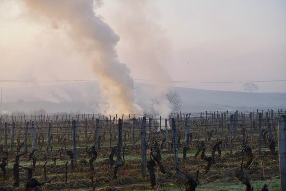 gelo vigneti francia