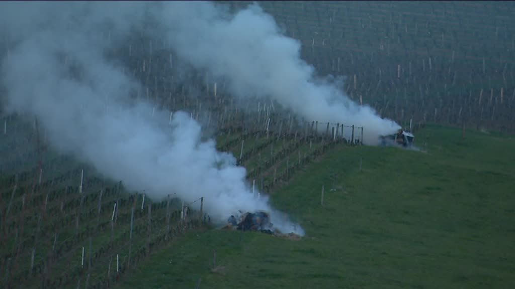 gelo vigneti francia