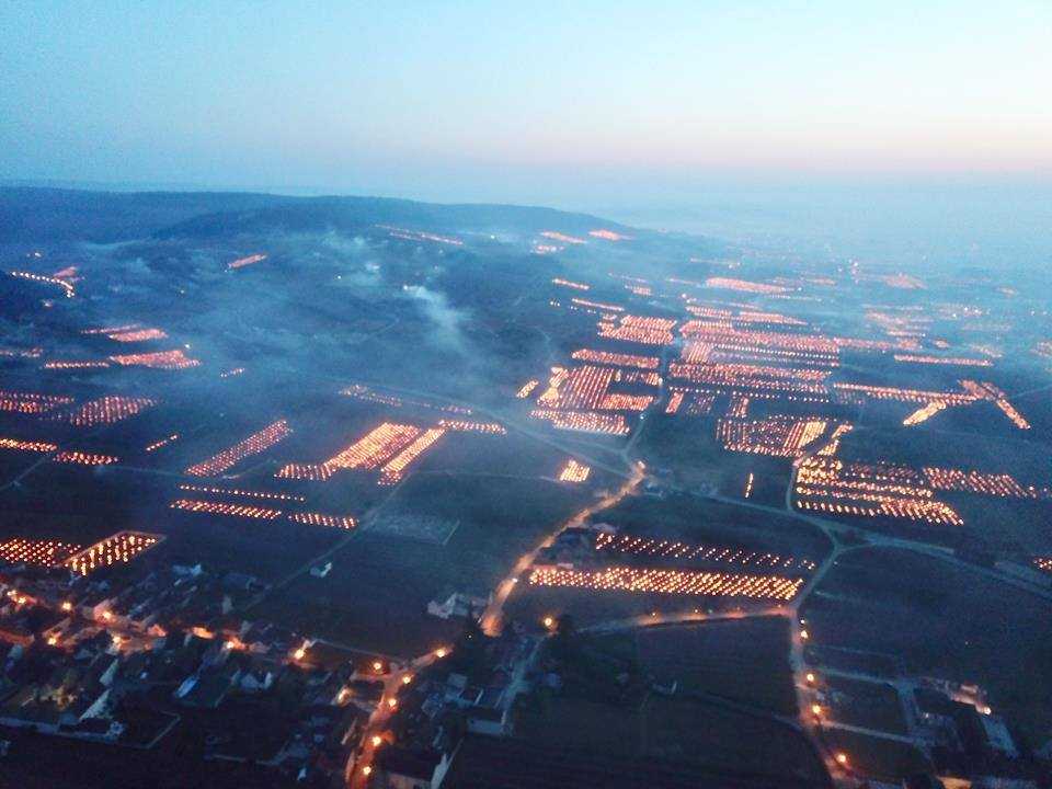 gelo vigneti francia
