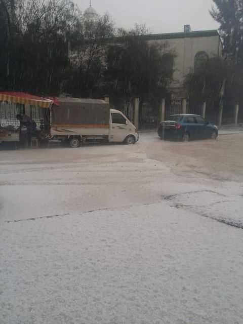 grandine algeria