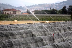 irrigazione