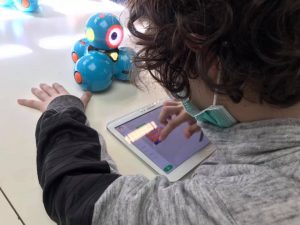 laboratori di robotica petbot