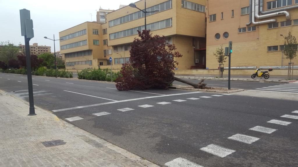 maltempo spagna