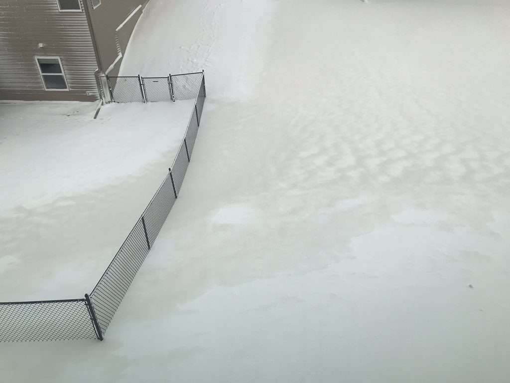 neve colorata usa