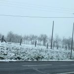 Maltempo Francia, la neve scende fino in pianura: imbiancata Grenoble [FOTO e VIDEO]