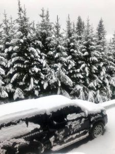 neve francia