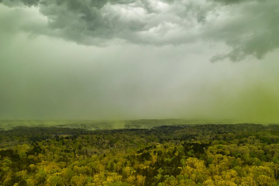 nuvole verdi usa
