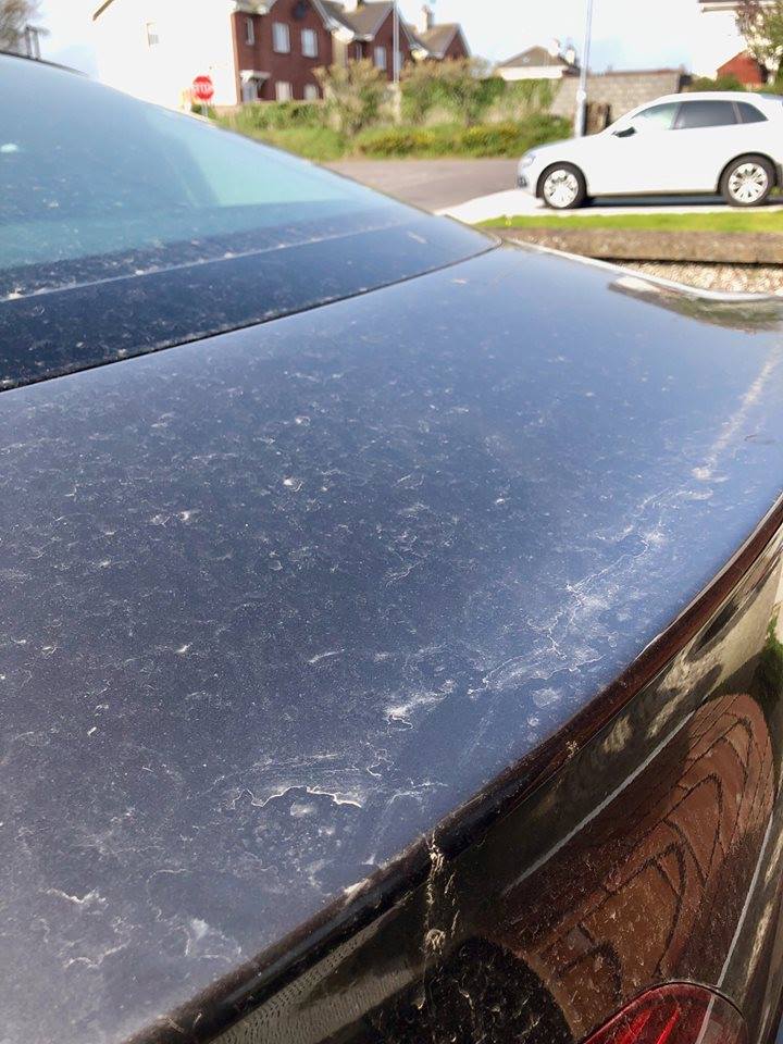 sabbia sahara regno unito