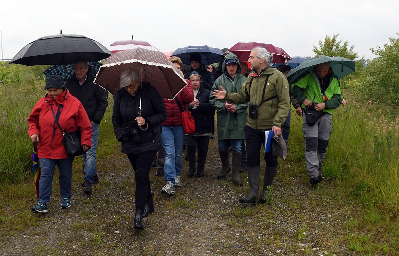 Oasi Naturalistica della Martesana A58 TEEM
