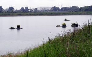 Oasi Naturalistica della Martesana A58 TEEM