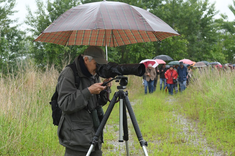 Oasi Naturalistica della Martesana A58 TEEM