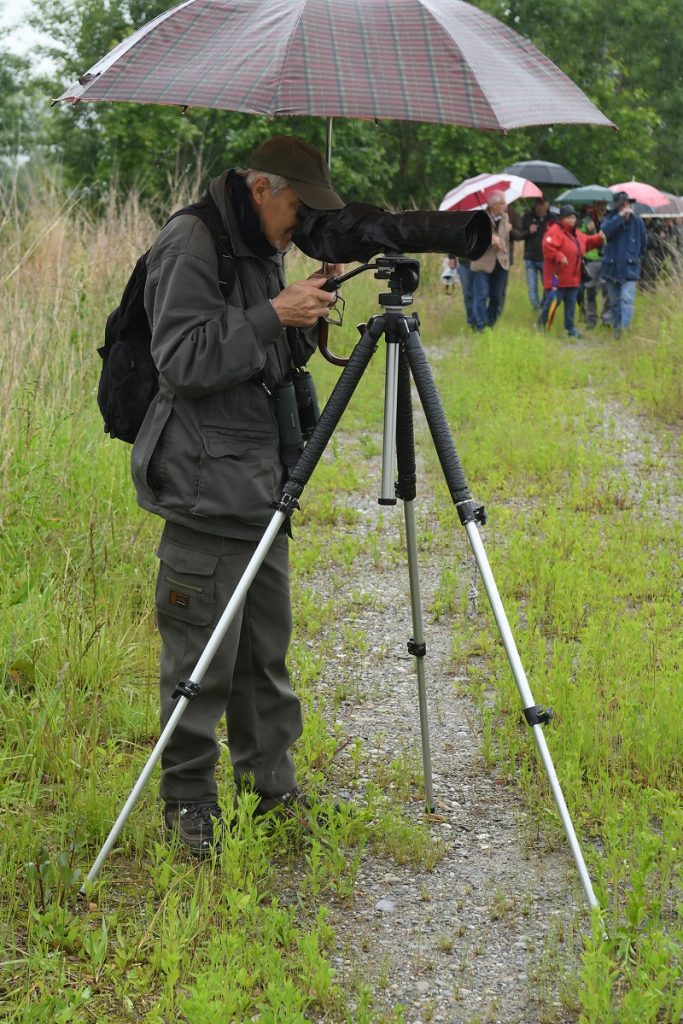 Oasi Naturalistica della Martesana A58 TEEM