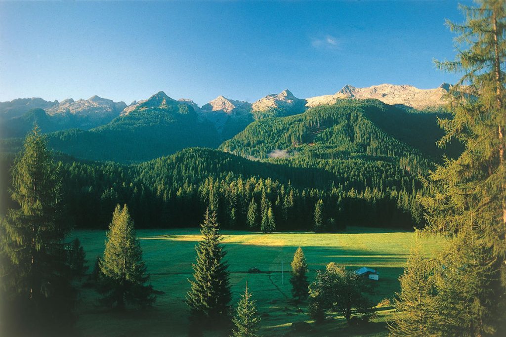 Paneveggio Foresta catena del Lagorai