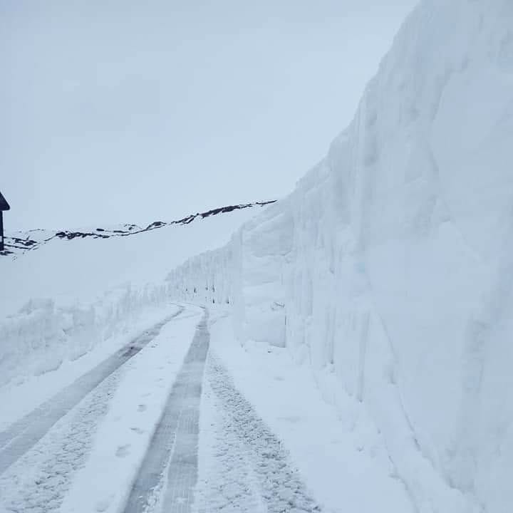 Passo Gavia neve 19 maggio 2019