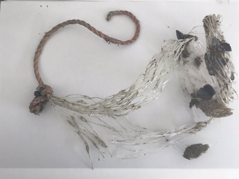 iciclo delle retine per mitilicoltura