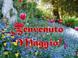 benvenuto maggio