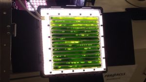 bioreattore alghe stazione spaziale