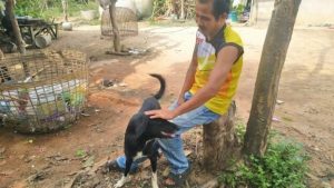 cane eroe Thailandia ping pong