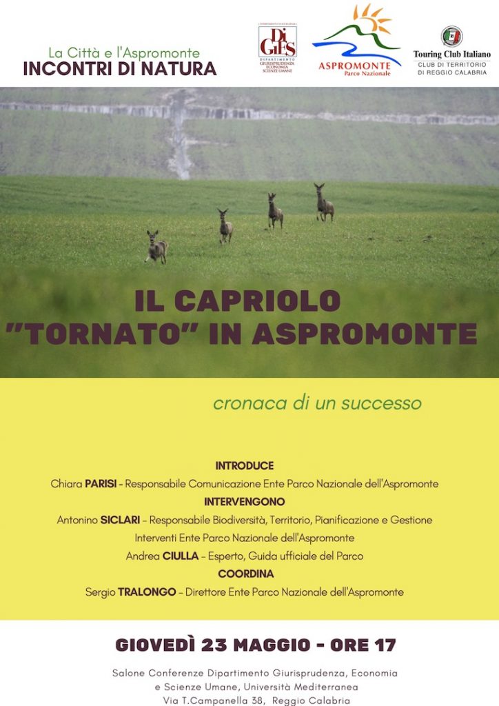 capriolo aspromonte