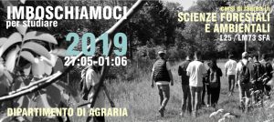imboschiamoci pollino aspromonte