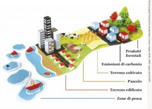 impronta ecologica