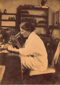 lucy wills