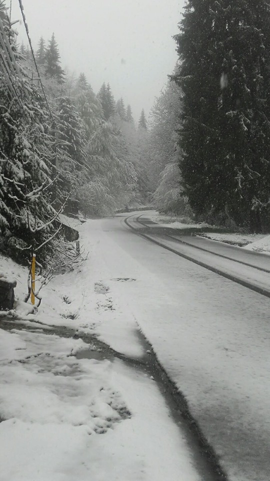maltempo romania