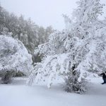 Nevicata di Maggio in Corsica [GALLERY]
