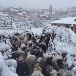 Meteo, Maggio da record in Corsica: rare nevicate e freddo anomalo [FOTO]