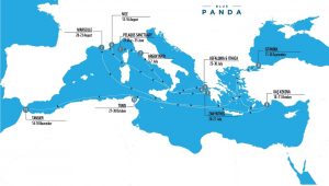spedizione Blue Panda 2019