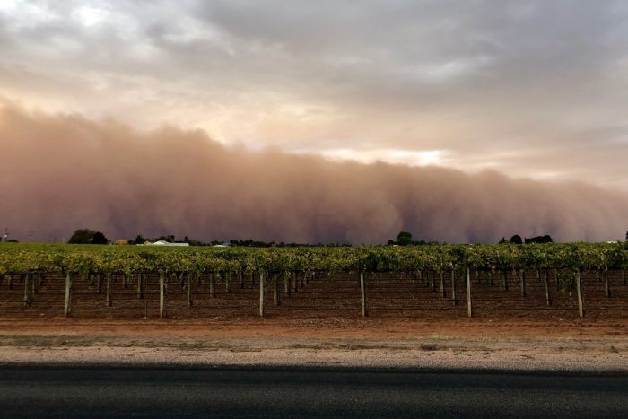 tempesta sabbia australia
