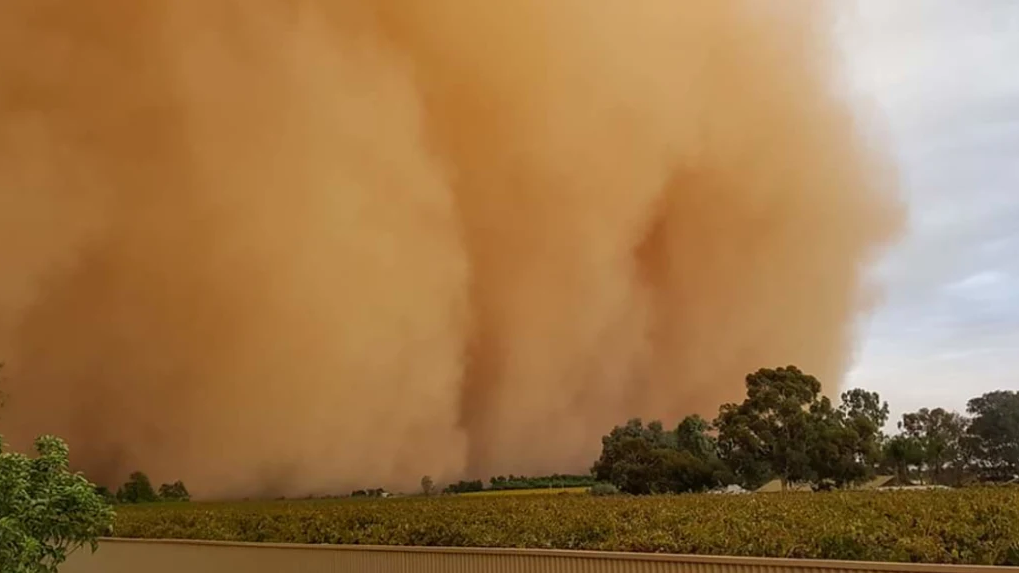 tempesta sabbia australia