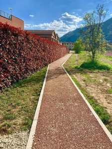 La pista ciclabile luminescente in Lucchesia