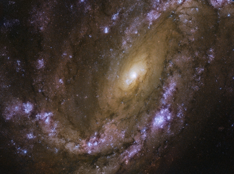 Ngc 4051