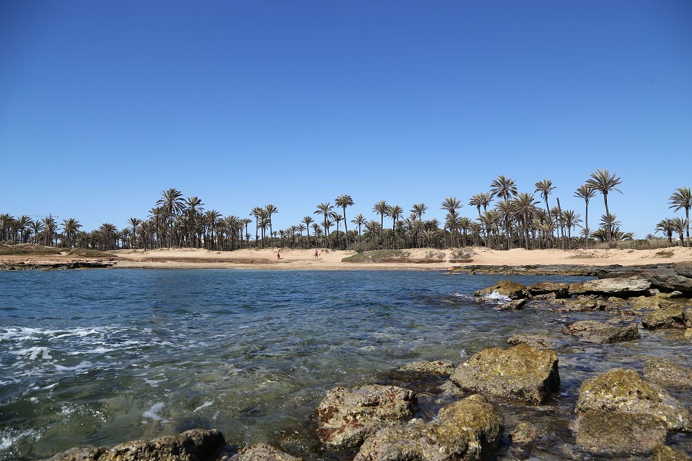 Torrevieja