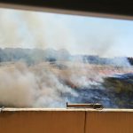 Ondata di caldo africano a Roma, enorme incendio in città: fiamme tra le case, paura per i residenti [FOTO e VIDEO]