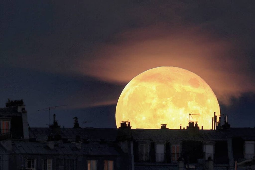 luna fragola
