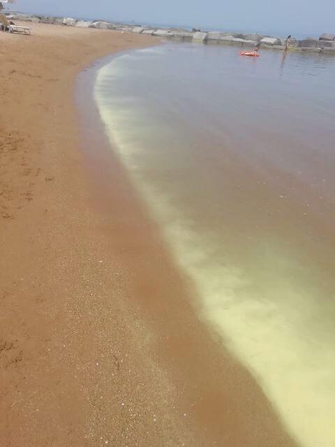 mare calabria polline