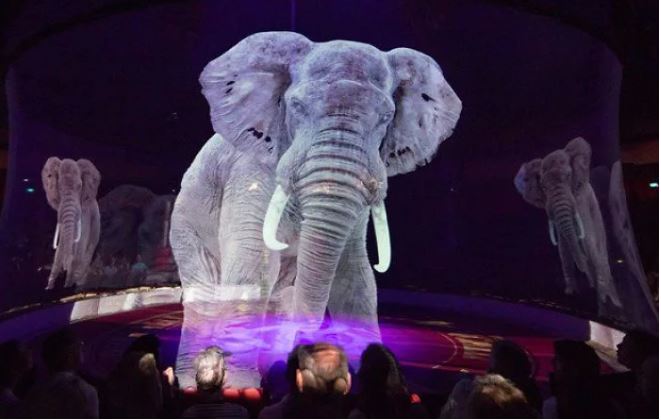 ologrammi animali circo