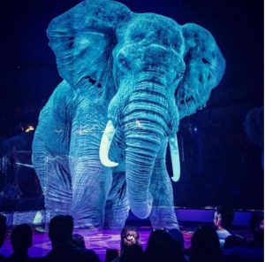 ologrammi animali circo
