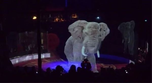 ologrammi animali circo